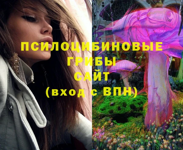 дмт Бугульма