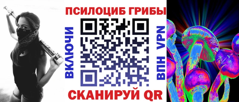 Псилоцибиновые грибы Psilocybine cubensis  Краснотурьинск 